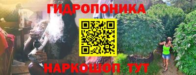 герыч Новодвинск