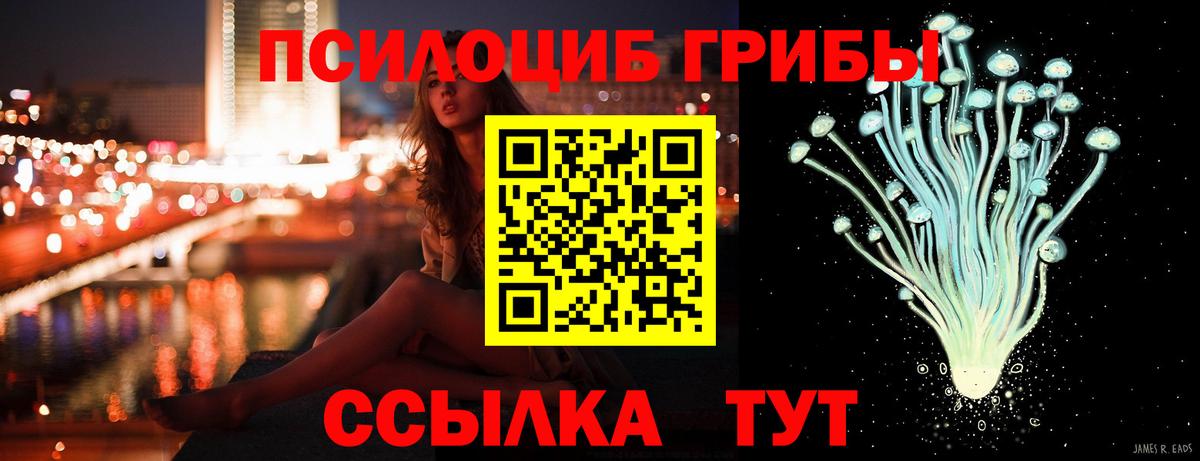 Галлюциногенные грибы прущие грибы  Вход с VPN  Сегежа  Галлюциногенные грибы Psilocybine cubensis 